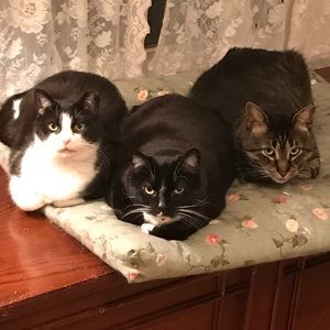 Meet your Posher, Jill